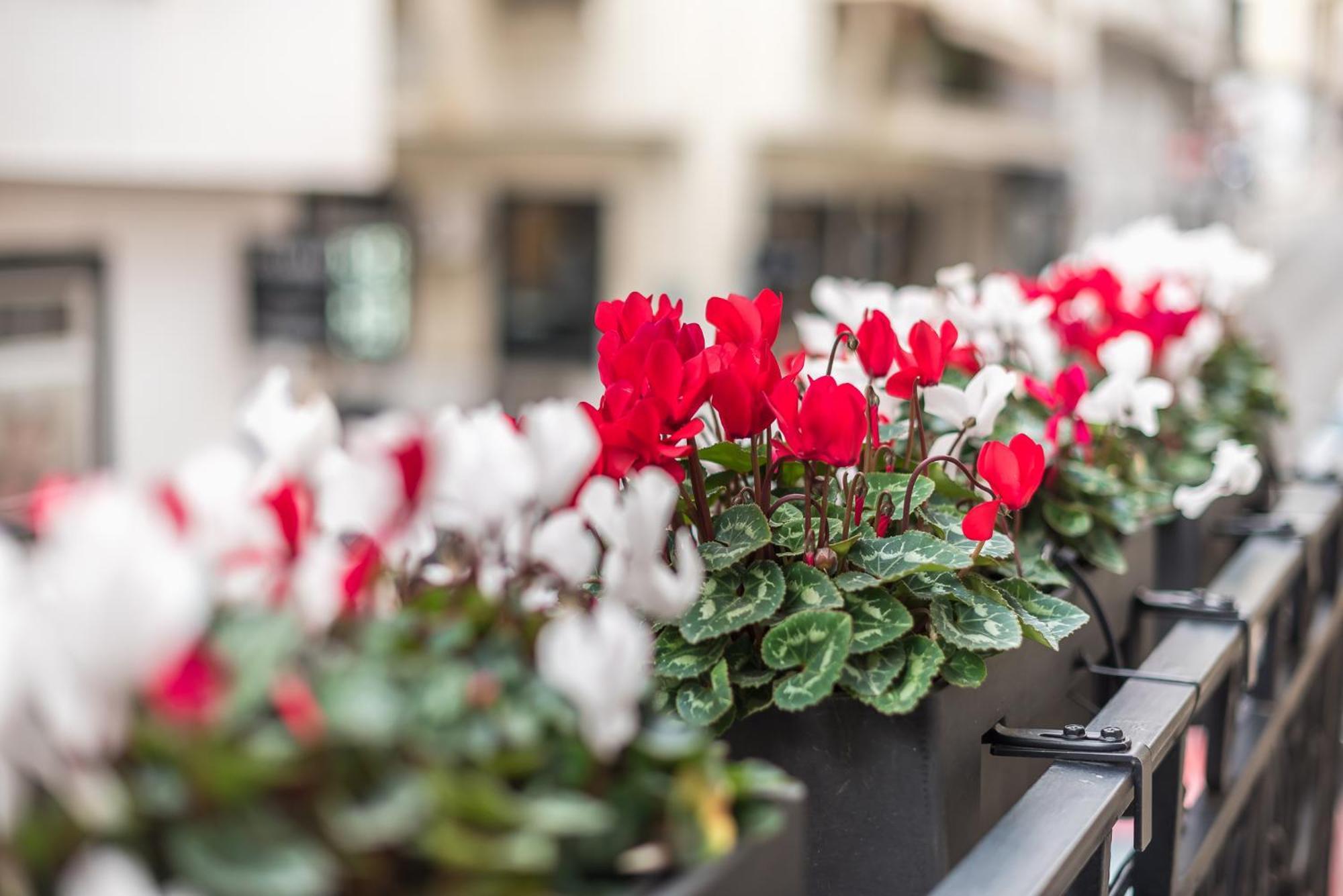 The Rare Luxury Gem Near Syntagma, Kolonaki Square Atenas Exterior foto